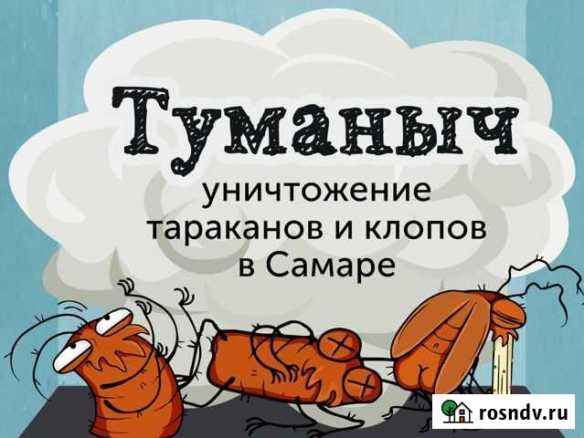 Туманыч. Уничтожение тараканов, обработка Самара - изображение 1