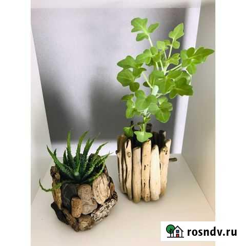 Сукуленты в декоративном кашпо Севастополь - изображение 1