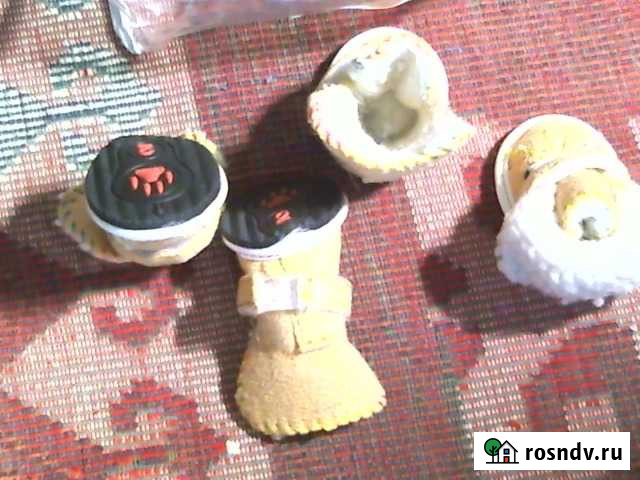 Обувь для собаки Электросталь - изображение 1