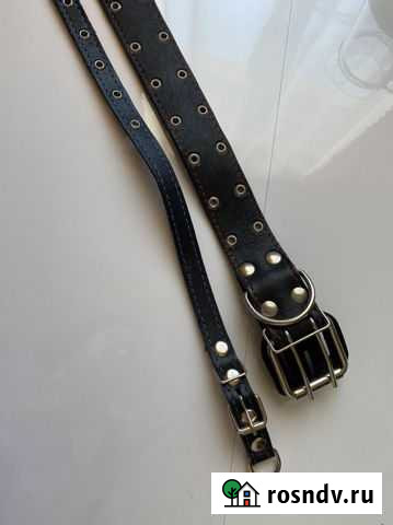 Ошейник для крупной собаки Выкса - изображение 1