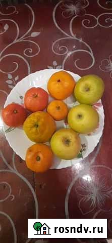 Мандарины, яблоки Псков - изображение 1