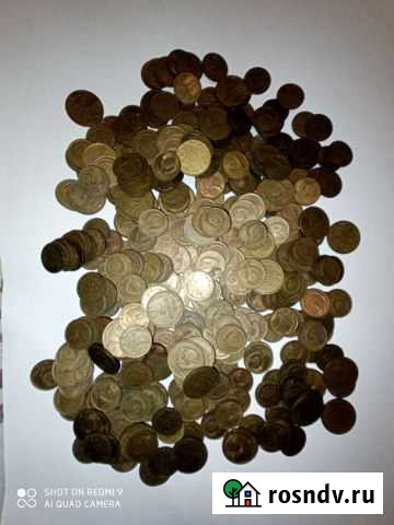 Монеты Лысьва - изображение 1