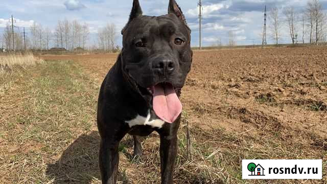 Вязка Набережные Челны - изображение 1