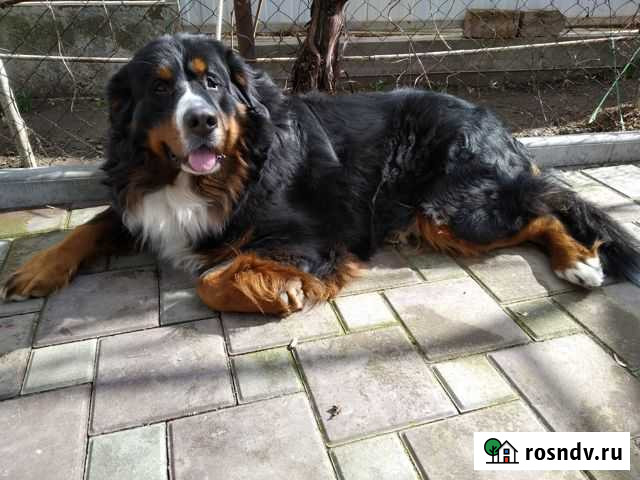 Вязка Тимашевск - изображение 1