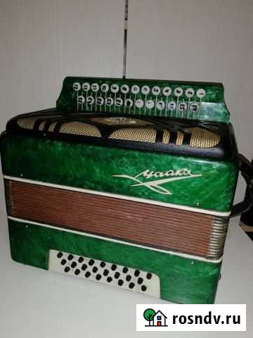Гармонь чайка Нижний Новгород - изображение 1
