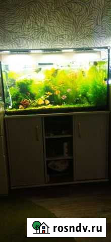 Аквариум 150 л. с тумбой Липецк - изображение 1