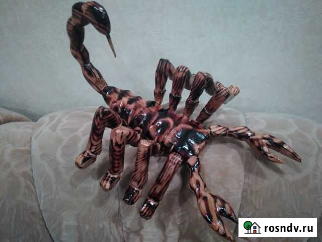 Скорпион Владимир - изображение 1