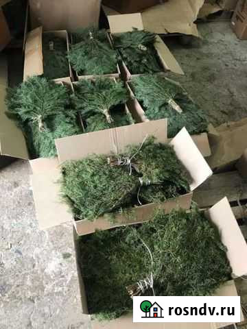 Банные веники Баймак - изображение 1