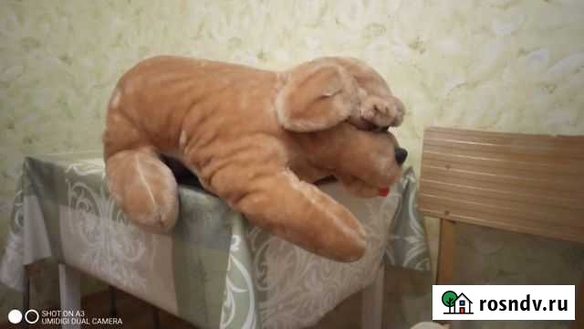 Продам мягкую игрушку-подушку Великие Луки - изображение 1