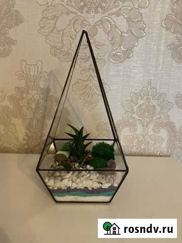 Суккуленты в геометрическом флорариуме Невьянск - изображение 1
