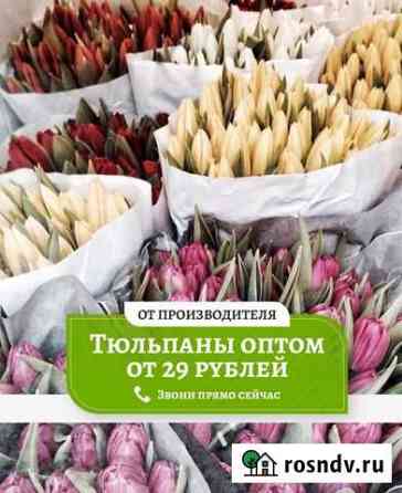 Тюльпаны оптом Челябинск