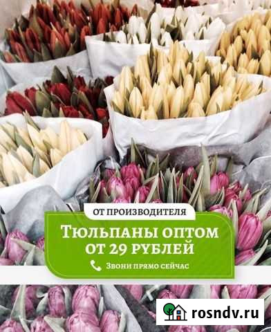 Тюльпаны оптом Челябинск - изображение 1