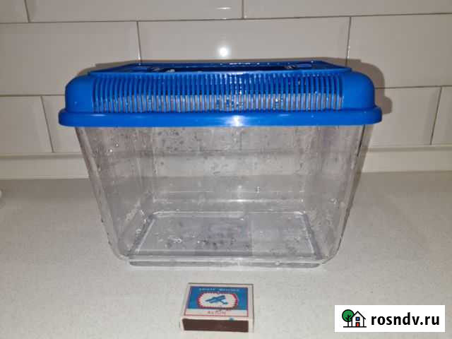 Террариум Йошкар-Ола - изображение 1