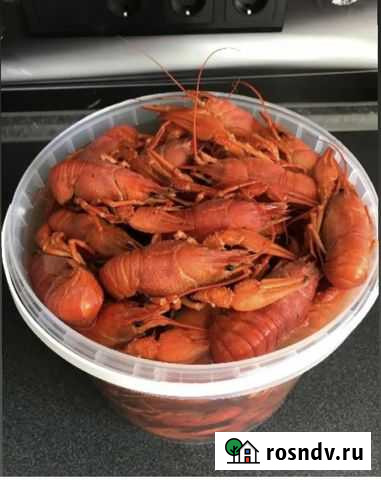 Варёные раки любой объём, Сал и не только, доставк Волгодонск - изображение 1
