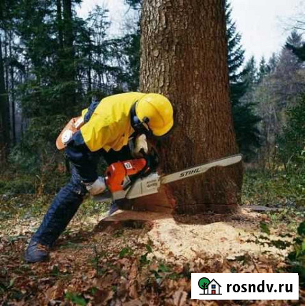 Вальщик леса Вологда - изображение 1
