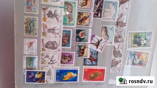 Марки природа Череповец - изображение 1