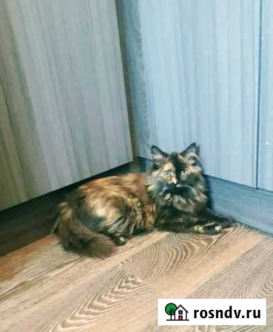 Карамелька Барнаул - изображение 1