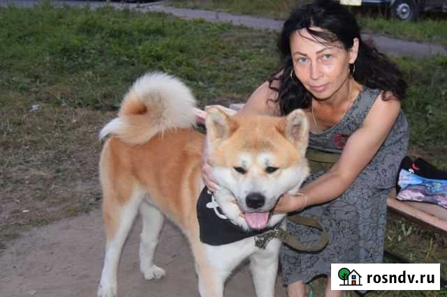 Няня сиделка Березники - изображение 1