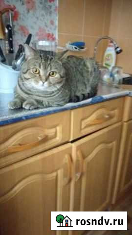 Вязка Нижнекамск - изображение 1