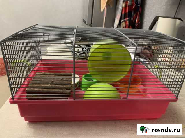 Клетка для мелких грызунов Химки - изображение 1