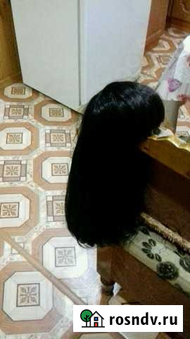 Парик Арск - изображение 1