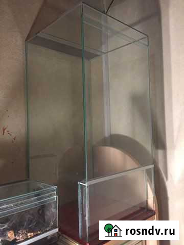 Вертикальный террариум (инсектарий, паучатник) Королев - изображение 1