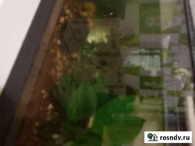 Аквариум 20 литров Химки - изображение 1