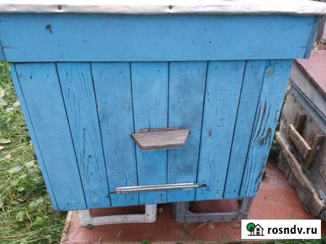 Улики Северный - изображение 1