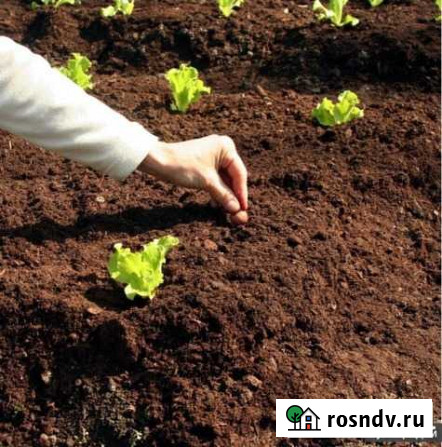 Садовый грунт.биогрунт Раменское - изображение 1