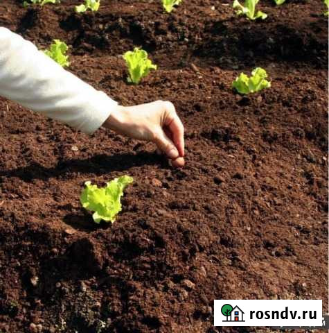 Садовый грунт.биогрунт Раменское - изображение 1