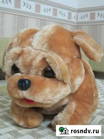 Мягкая игрушка Мопс Воронеж - изображение 1