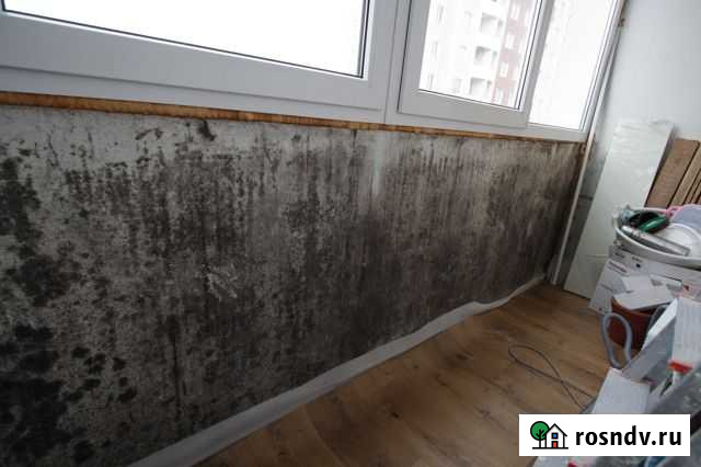 Удаление плесени и грибка. Гарантия Омск - изображение 1