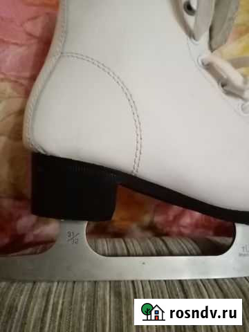 Коньки Брянск - изображение 1