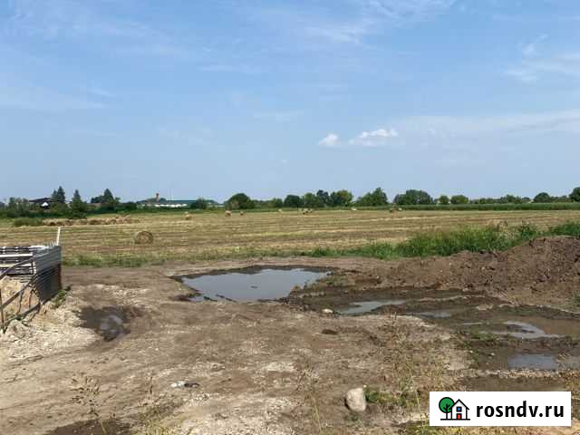 Сено Нальчик - изображение 1