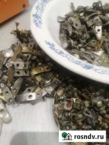 Грибы Ижевск - изображение 1