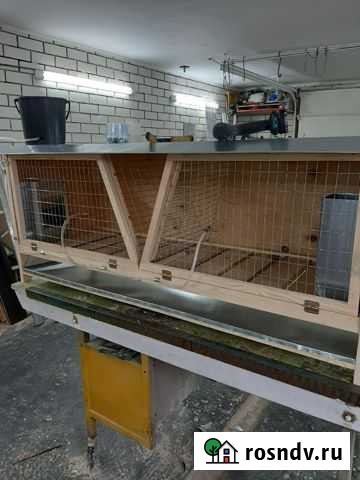 Клетка для кроликов кур и перепелов Орехово-Зуево - изображение 1