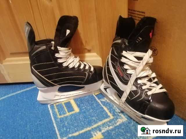 Коньки Палласовка - изображение 1