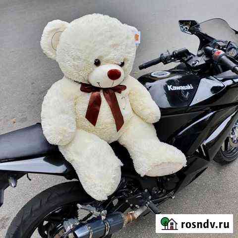 Медведи 120 см Калининград