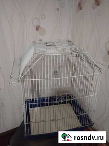 Клетка Комсомольск-на-Амуре - изображение 1