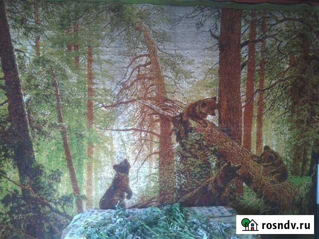 Ковер во всю стену Первомайское - изображение 1