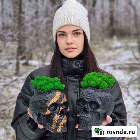 Череп со мхом Засечное