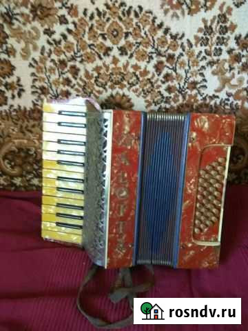 Аккордеон немецкий Казань - изображение 1
