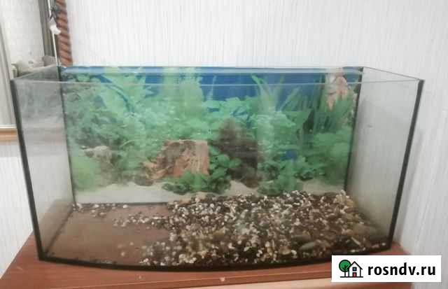 Аквариум 100 л Саратов - изображение 1