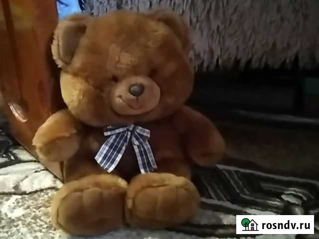 Медведь Клинцы - изображение 1