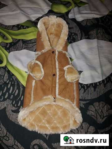 Дублёнка для собачки Ленинск-Кузнецкий - изображение 1