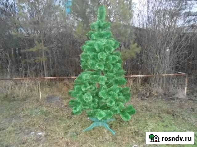 Ель Карпатская 2 m Скопин - изображение 1