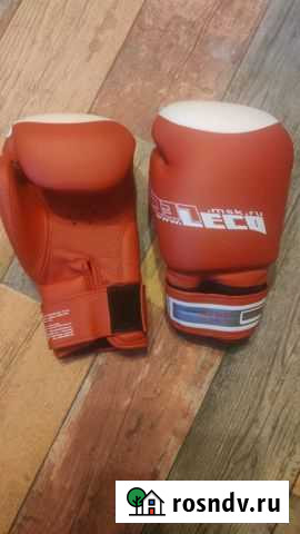 Боксерские перчатки и лапа Мытищи - изображение 1