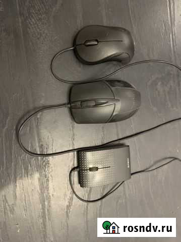 Мышь Волгоград - изображение 1