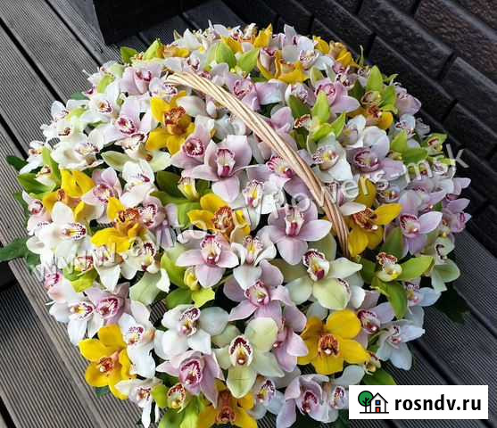 Орхидеи 111 в корзине Красногорск - изображение 1
