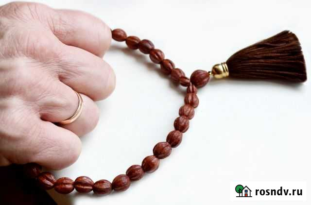 Чётки. Редкое дерево Мелия Иранская Севастополь - изображение 1